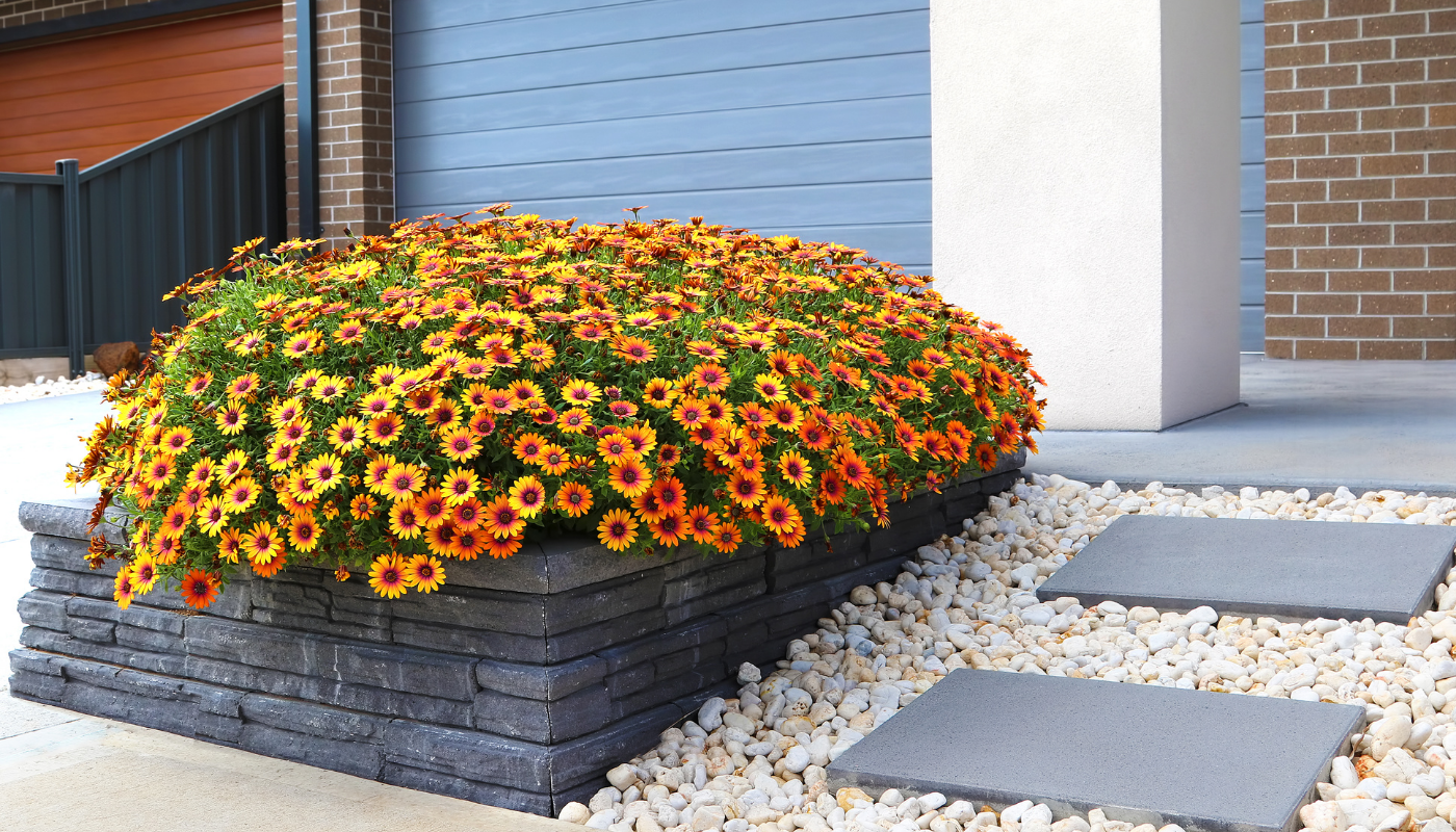 a raised garden bed landscaping with horticulturists choice of plants