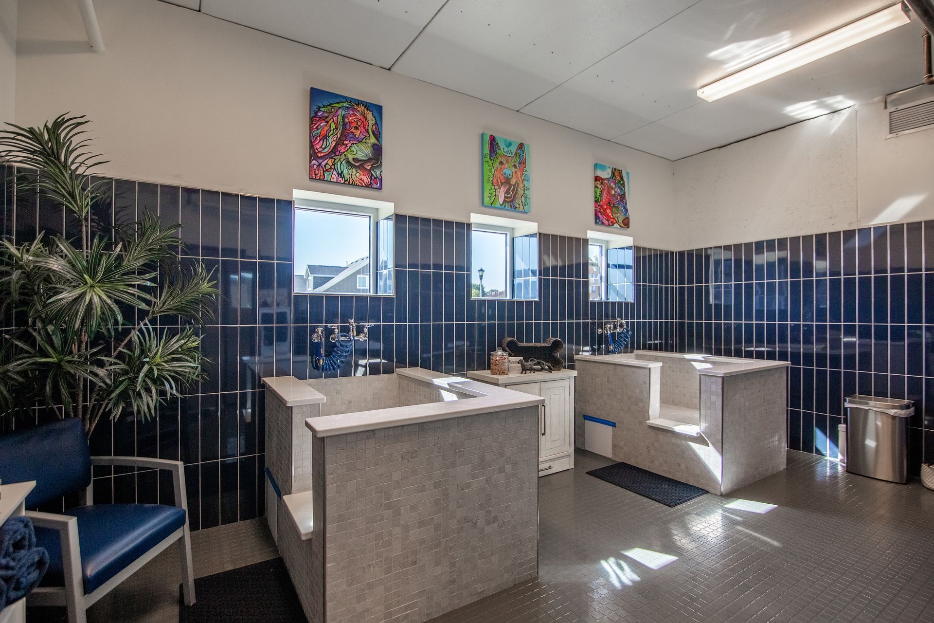 Earl Apartments at IMM Aparttments in Bismarck North Dakota