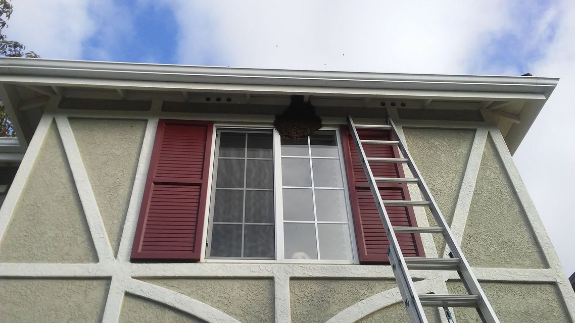 Ladder leaning against a house window with red shutters under the roof eaves