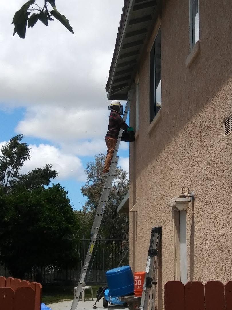 Worker on a ladder cleaning the exterior of a house near the roofline