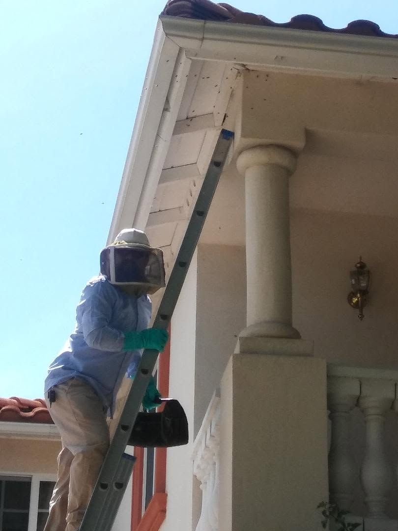 Person on a ladder cleaning a house roofline with a long brush