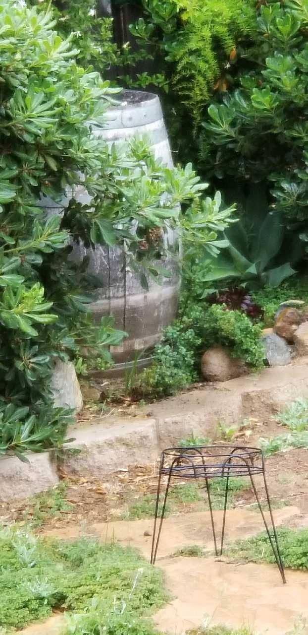 Garden path with lush green shrubs, a tree trunk, and a small metal plant stand in the foreground