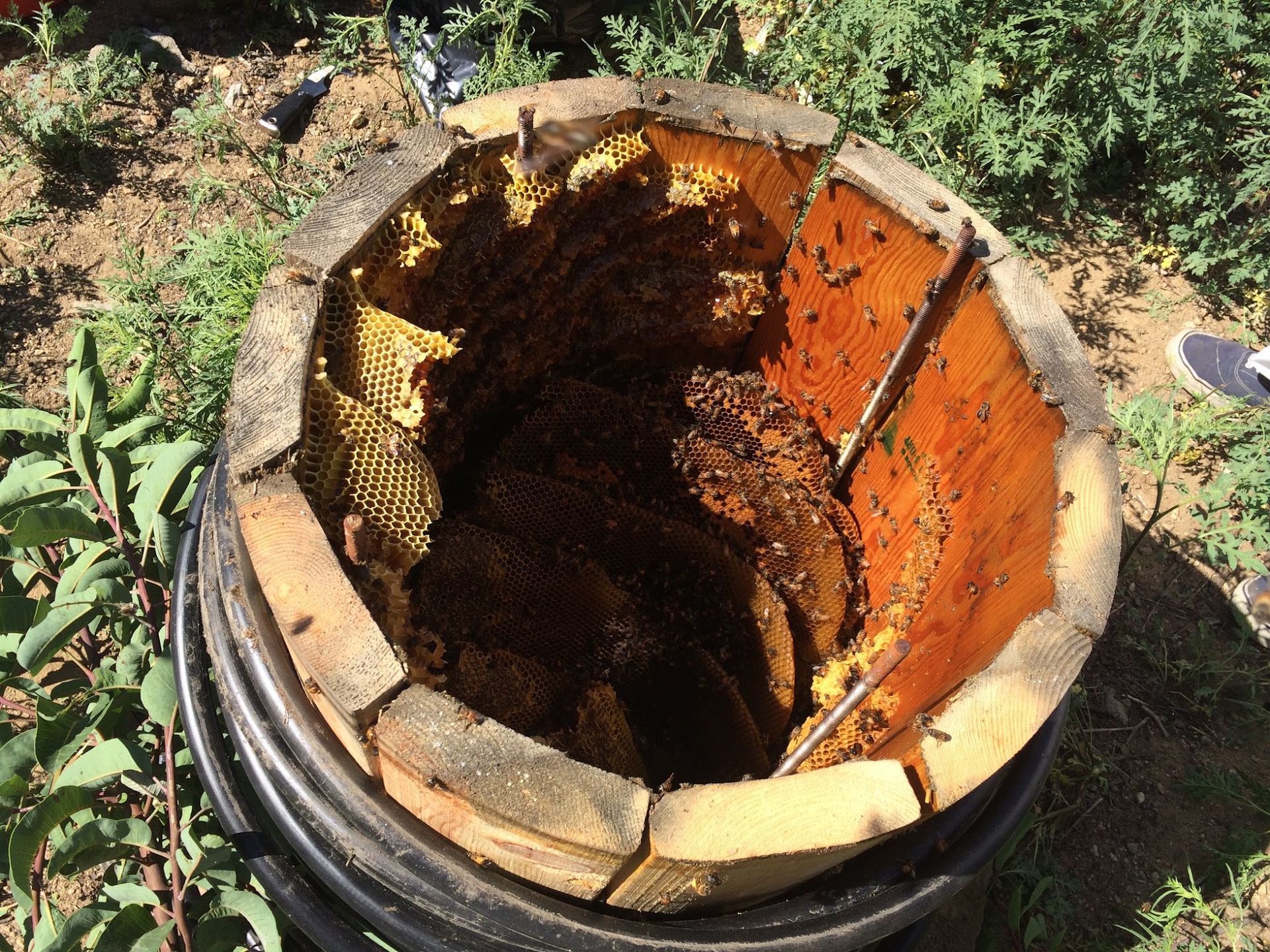Open barrel with rusty, dark interior and orange insulation, set outdoors on soil and grass.