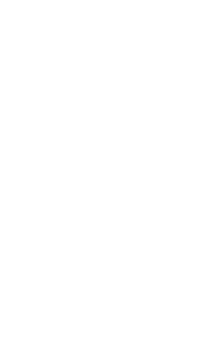 Mostly blank white image with faint gray bars along the left and right edges.
