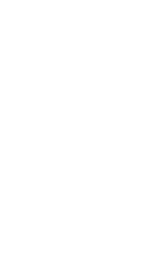 Mostly blank white image with a thin black vertical strip along the right edge