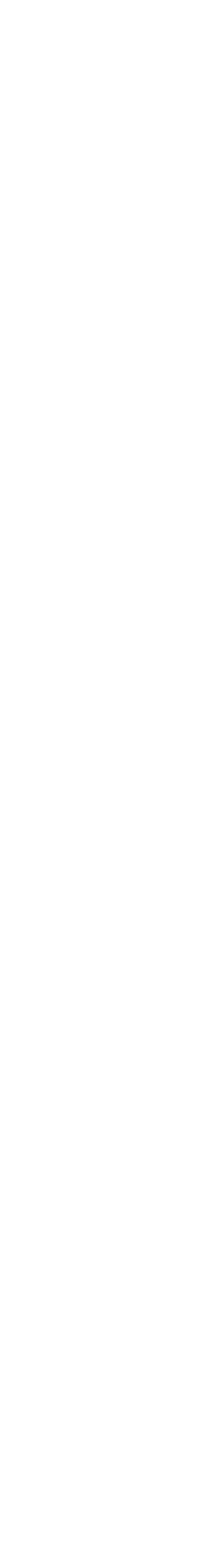 Black vertical rectangle on a white background, like a blank screen or narrow panel.