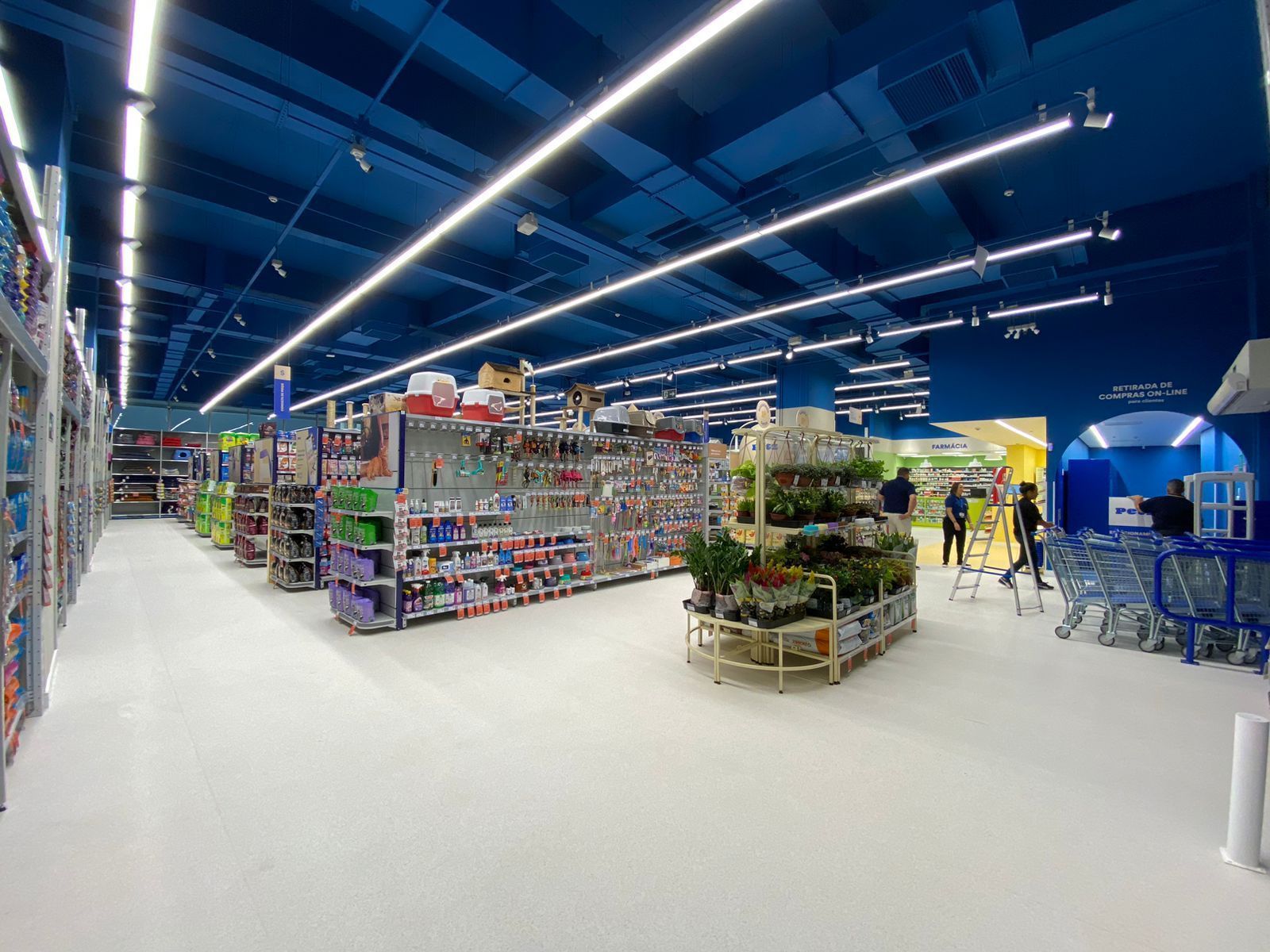 Interior de loja de varejo bem iluminado com luzes azuis no teto, prateleiras, plantas e alguns clientes perto do fundo.