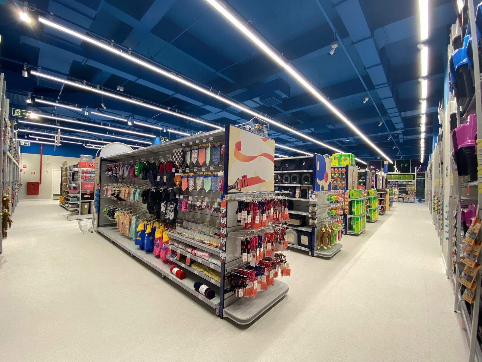 Um corredor de loja de varejo bem iluminado, com prateleiras de produtos variados e teto azul.
