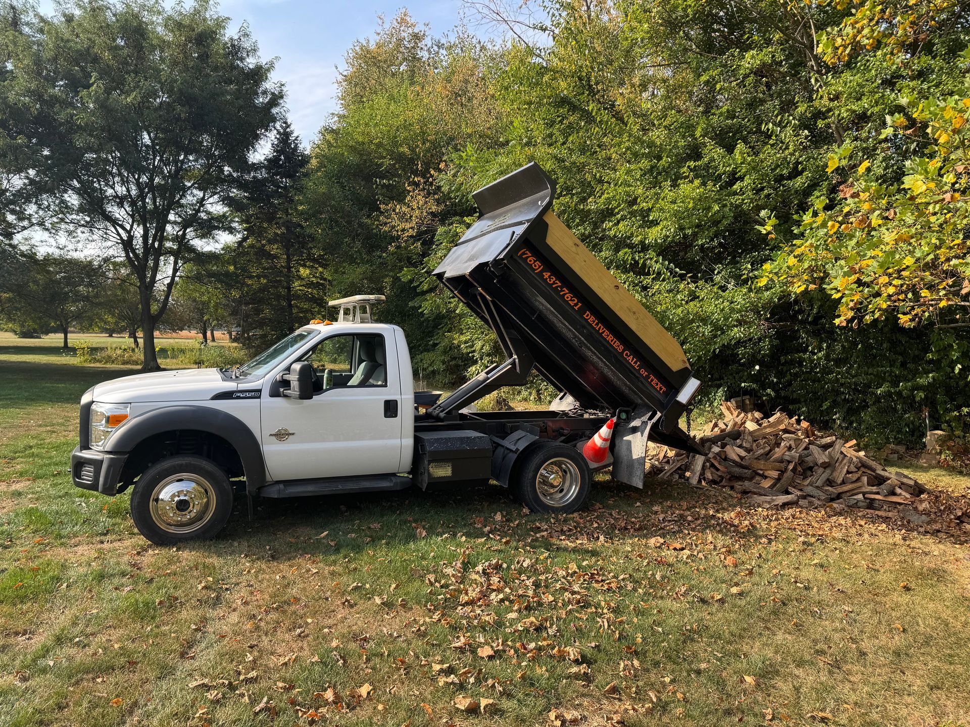 A white dump truck is raised, unloading a large pile of logs and debris near trees in a grassy area.