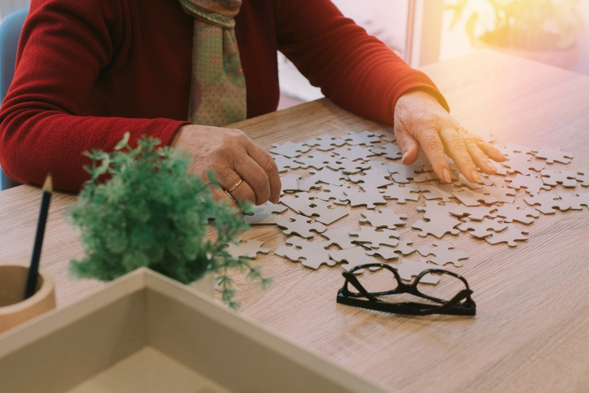 Qual a diferença entre Demência e Alzheimer