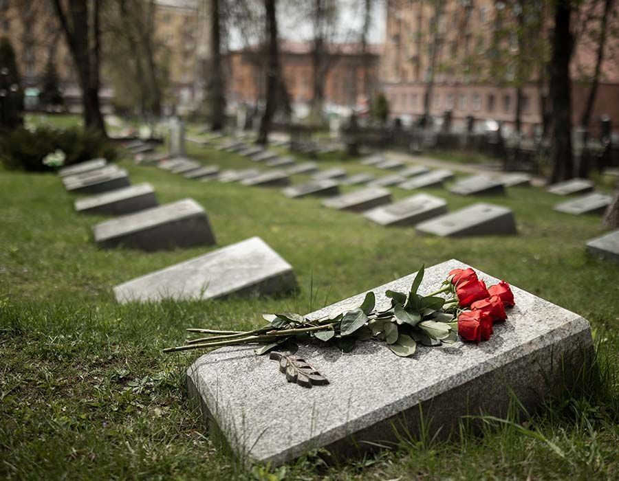 Roses laid on a gray gravestone in a cemetery with rows of memorial markers behind it.