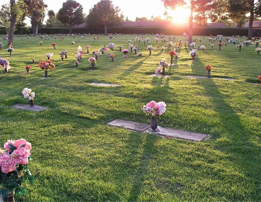 Sunlit cemetery with rows of graves marked by pink flower bouquets and long evening shadows