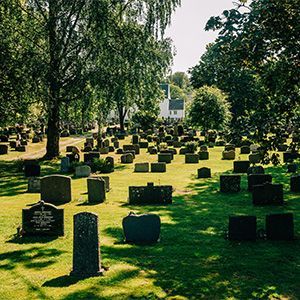Grassy cemetery with many dark gravestones beneath leafy trees on a sunny day