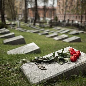 Gravestones in a cemetery, with red roses laid on a foreground headstone