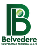 logo cooperativa agricola belvedere