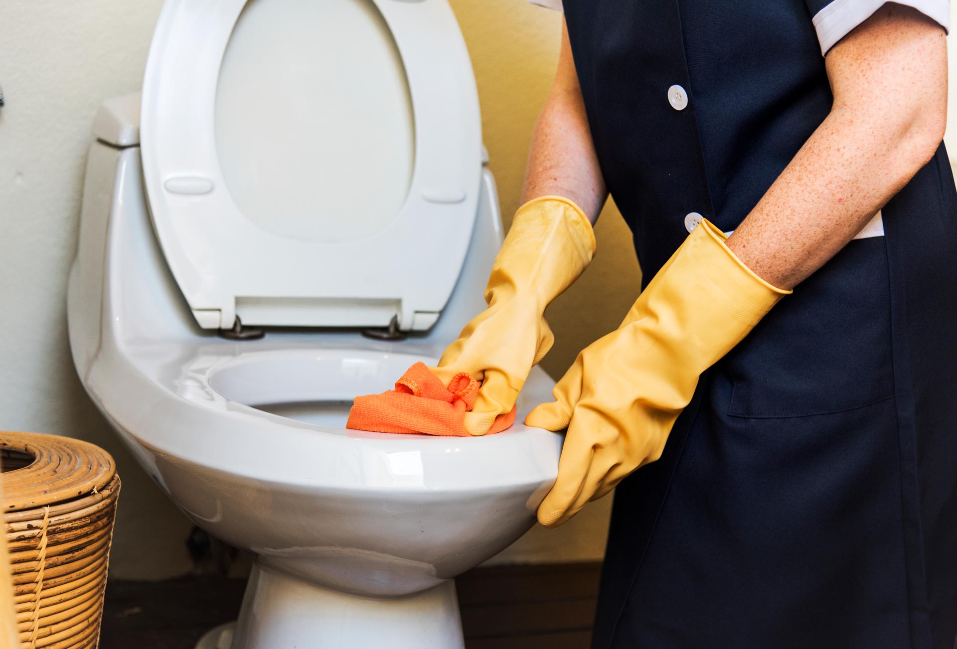 Toilet Installation & Repair