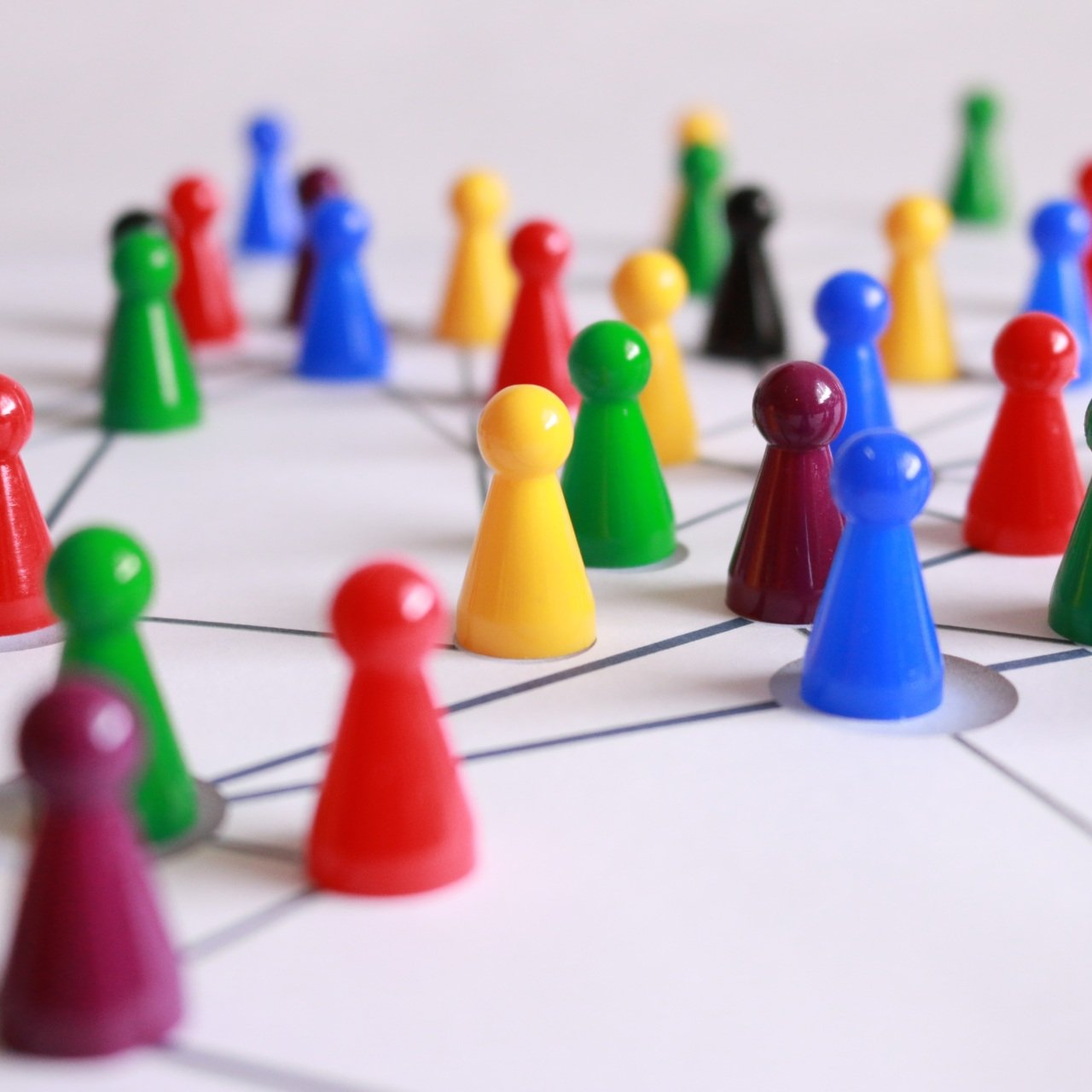 Organization Organization & Structure