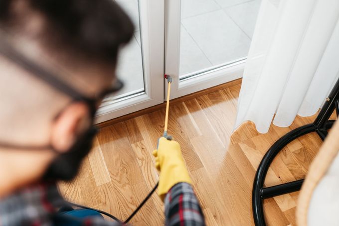 Spraying Pesticide in Apartment — Pavilion, NY — Koch Spraying Service, Inc.