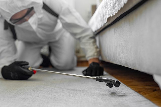 Disinfecting and Spraying Every Room — Pavilion, NY — Koch Spraying Service, Inc. Disinfecting and Spraying Every Room — Pavilion, NY — Koch Spraying Service, Inc.