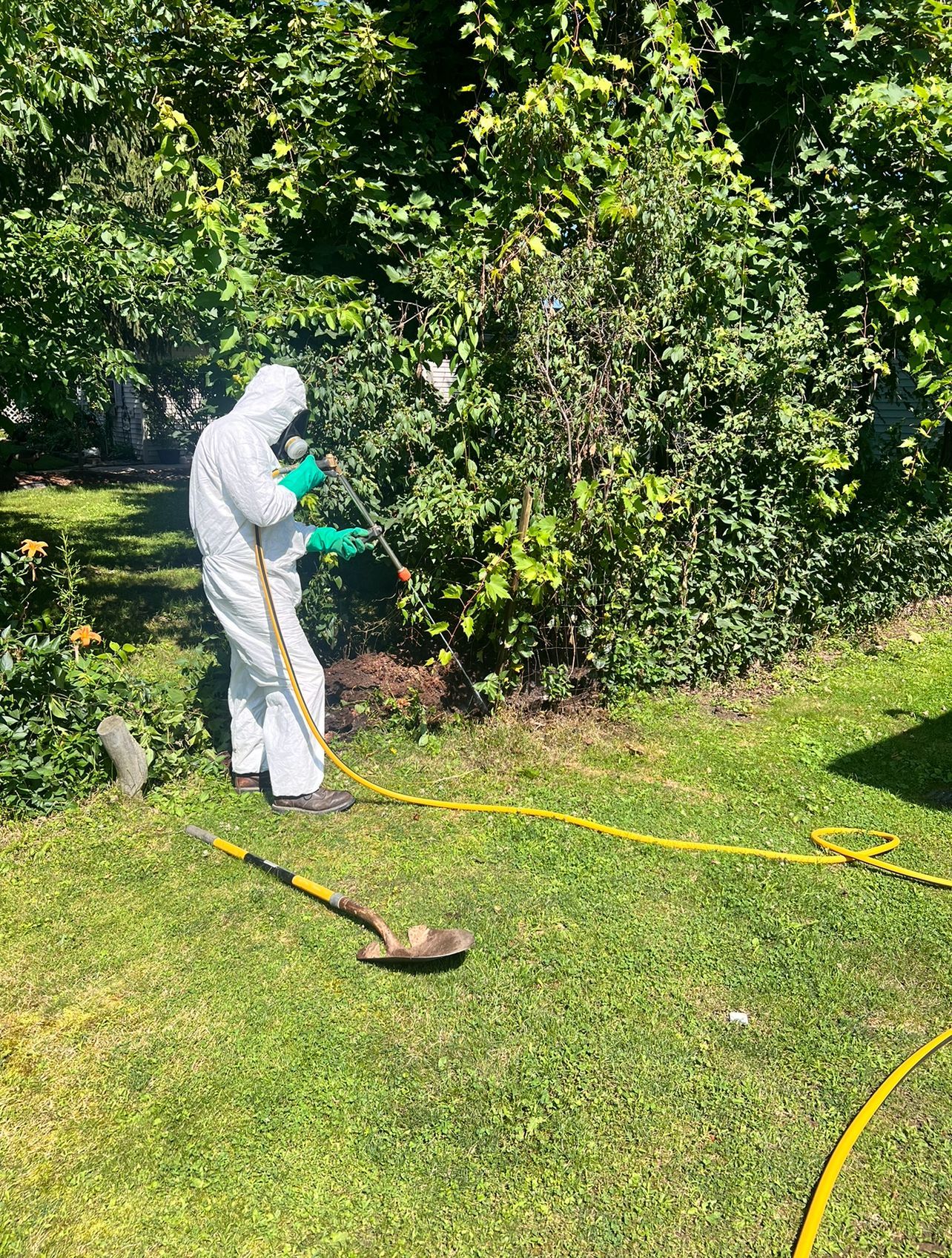 Spraying Chemical to Eliminate Mosquito — Pavilion, NY — Koch Spraying Service, Inc. Spraying Chemical to Eliminate Mosquito — Pavilion, NY — Koch Spraying Service, Inc.