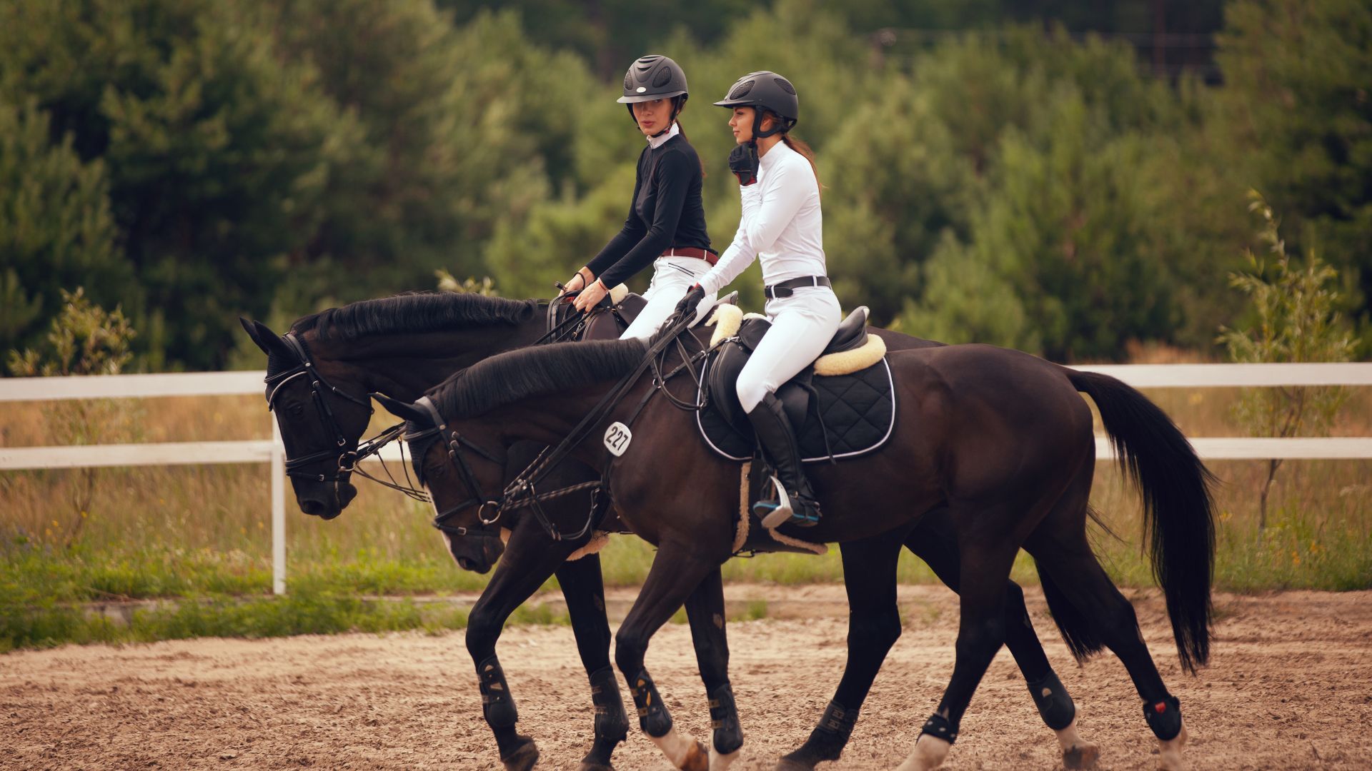 Overcoming Riding & Competition Anxiety: How Hypnosis Sessions Can Transform Your Equestrian Performance