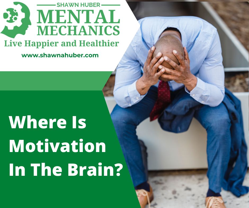 Where Is Motivation In The Brain