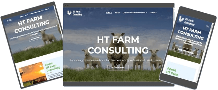 Web design & SEO specialist in Essex