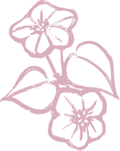 A drawing of three pink flowers with leaves on a white background.