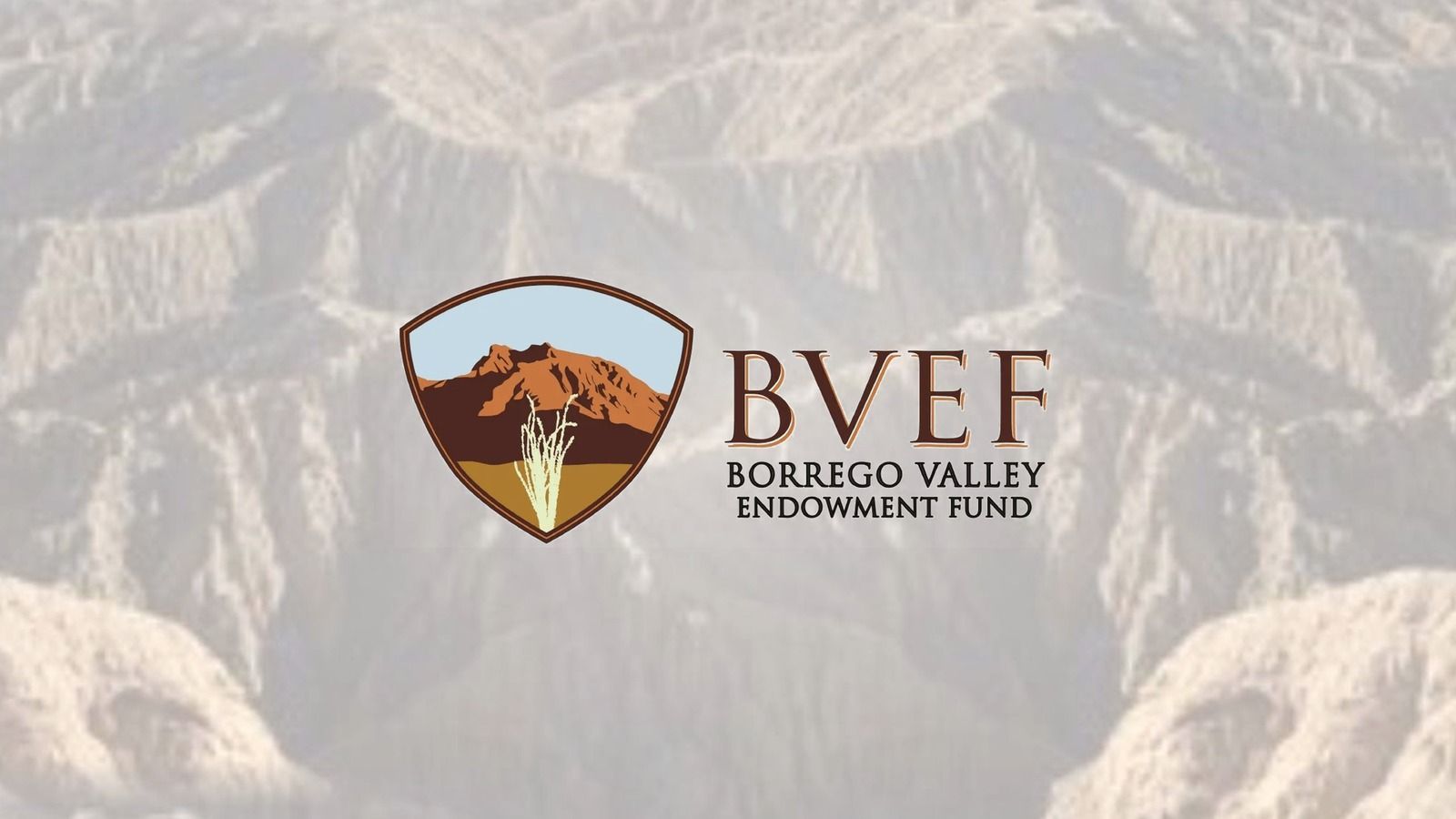 Borrego Valley Endowment Fund photo