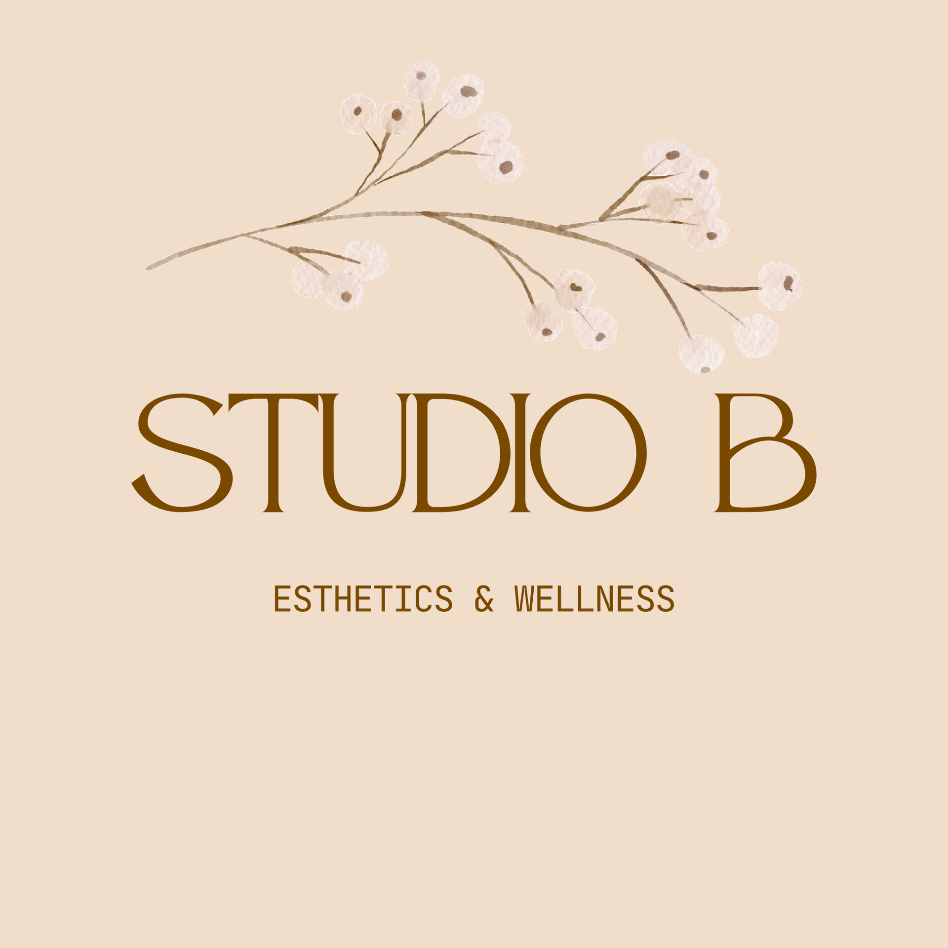 Studio B Esthetics & Wellness photo