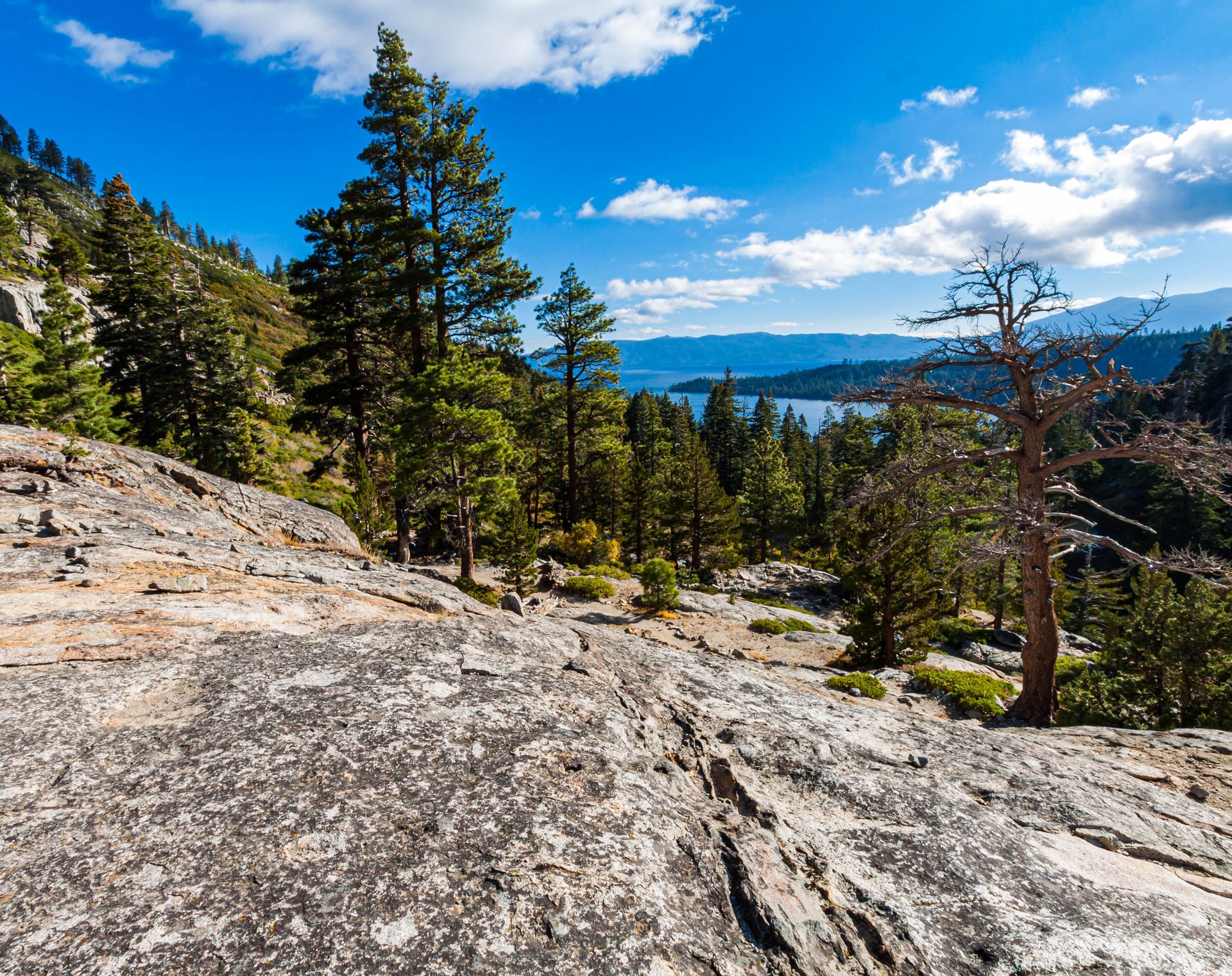 A rocky hillside with trees and a lake in the background.