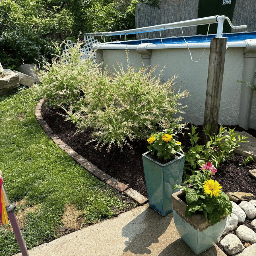 Garden with lush plants, colorful flowers in pots, and a pool in the background, creating a serene outdoor space.