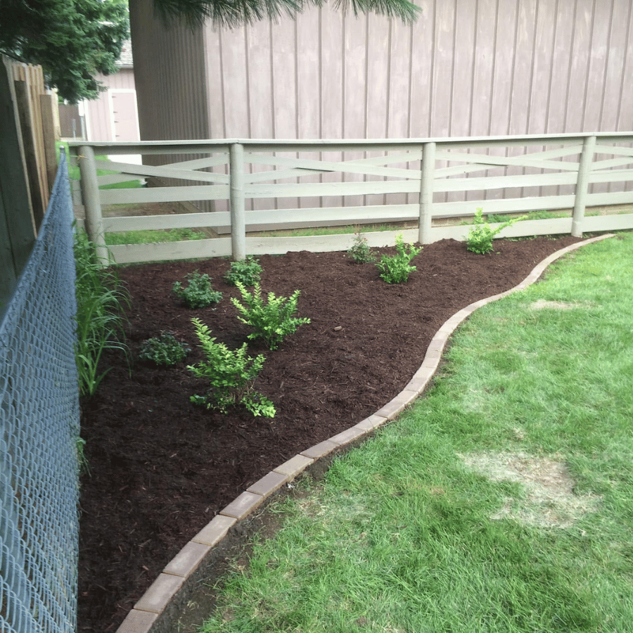 Garden bed with young plants and mulch, bordered by bricks, beside a wooden fence and green lawn in a backyard setting.