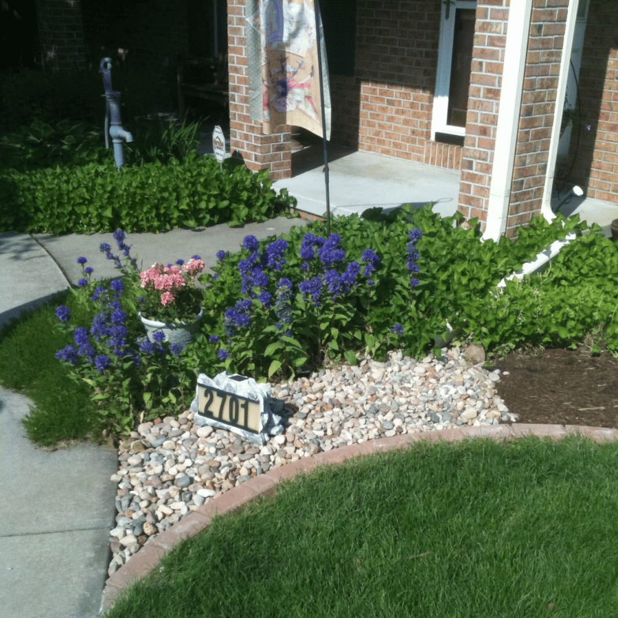 Garden with purple and pink flowers, house number 2701 on rocks, and brick house in background. Lush greenery surrounds the scene.