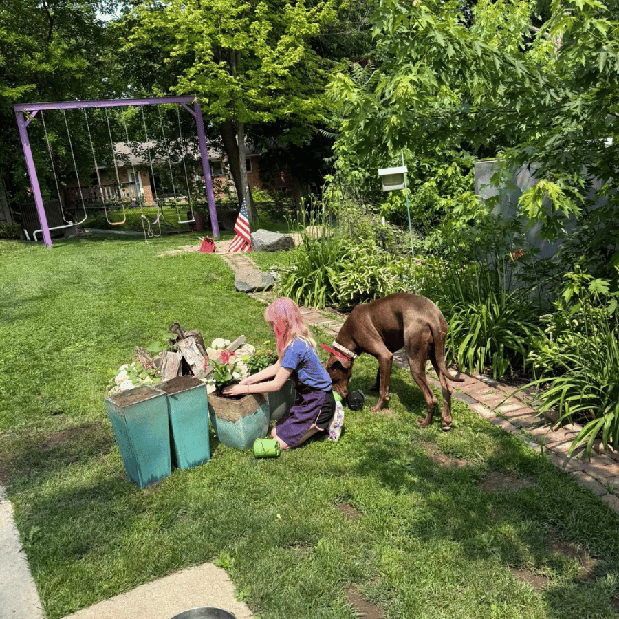 Person kneels on lawn beside a brown dog and a turquoise box in a lush garden with a purple swing frame