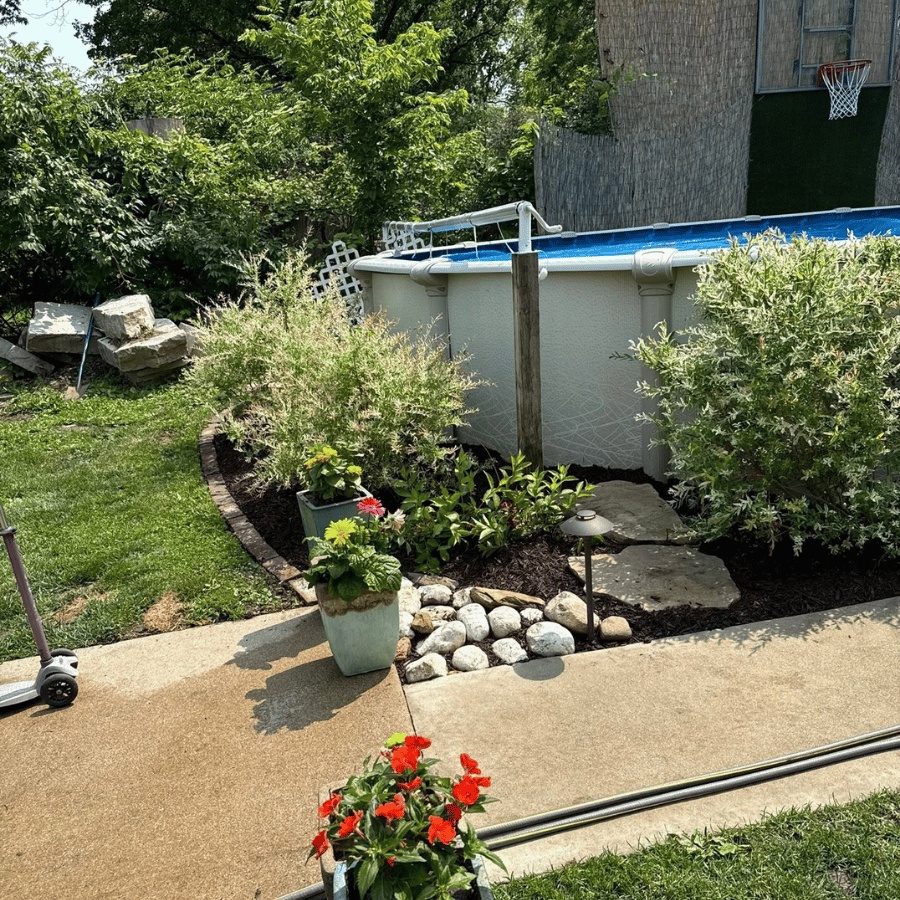 Backyard patio with potted red flowers, shrubs, stones, and an above-ground pool