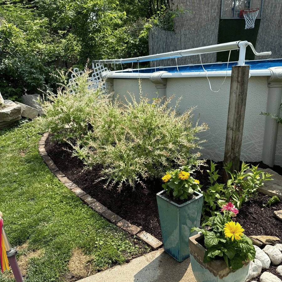 Backyard garden bed with flowering plants, brick edging, and an above-ground pool in the background