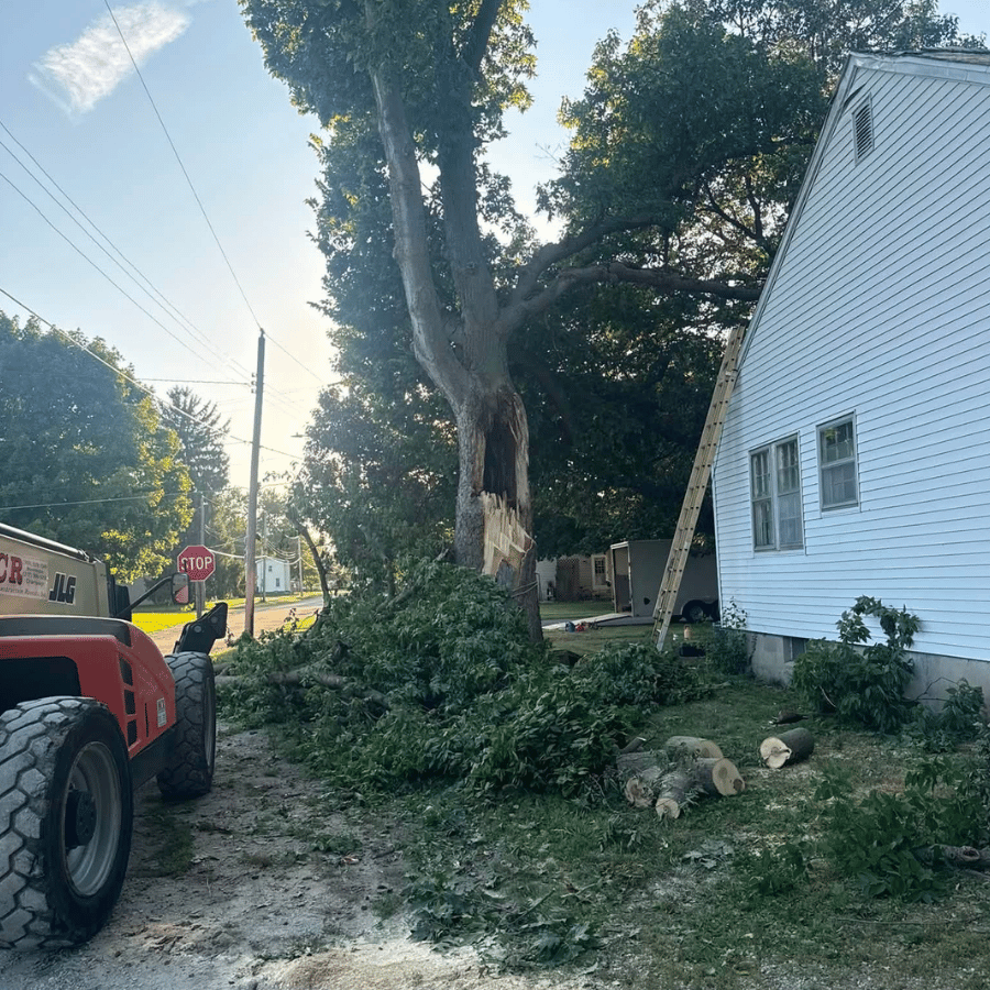 Tree damage cleanup beside a white house, with a red tractor and cut branches in the yard