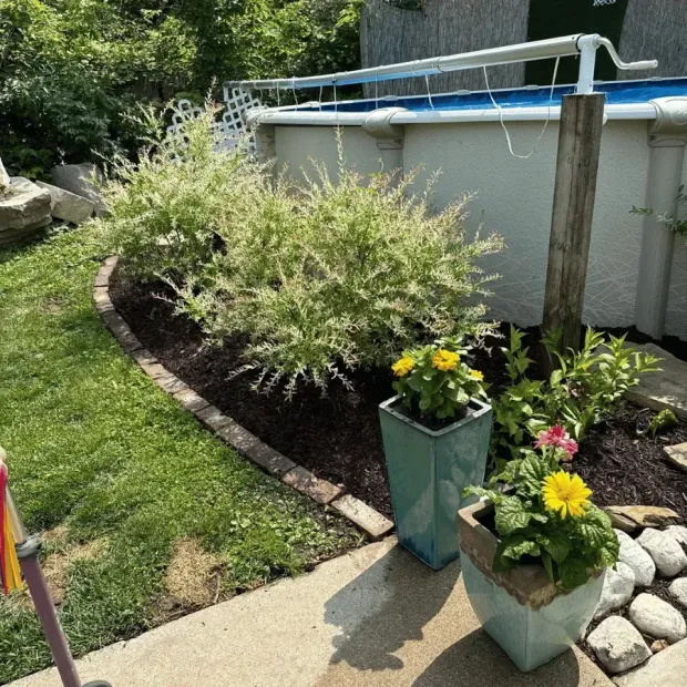Backyard garden with shrubs, flowers in planters, a stone border, and an above-ground pool in the background