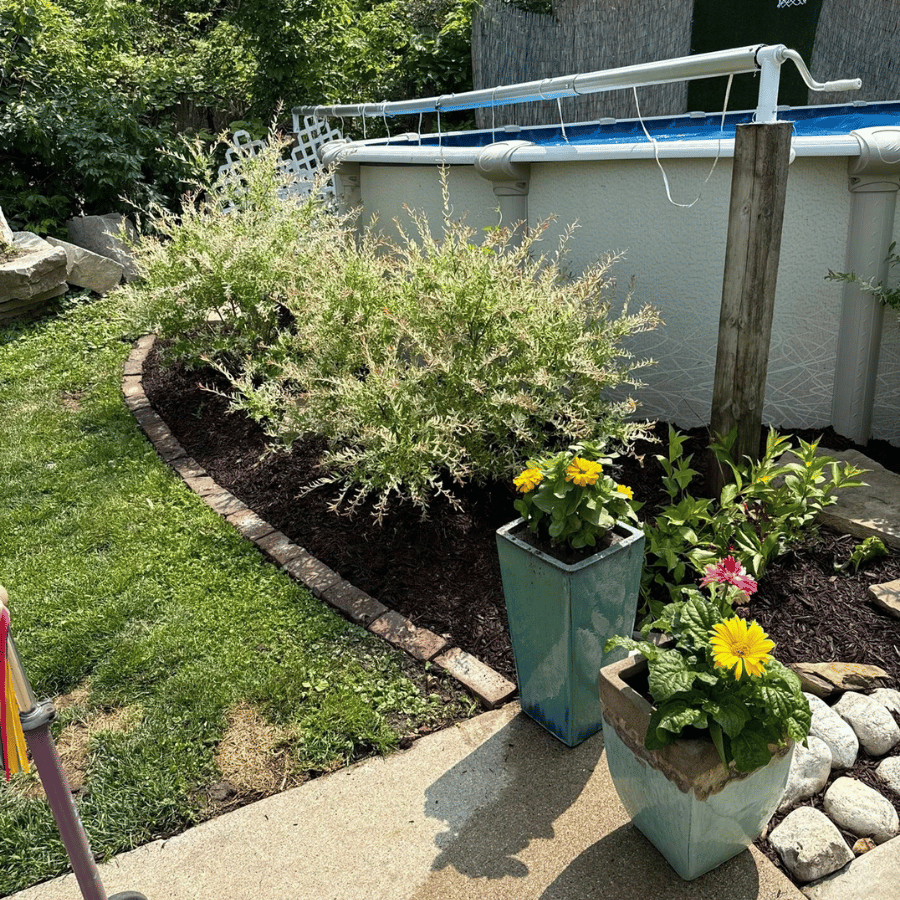 Backyard garden with shrubs, flowers in planters, a stone border, and an above-ground pool in the background