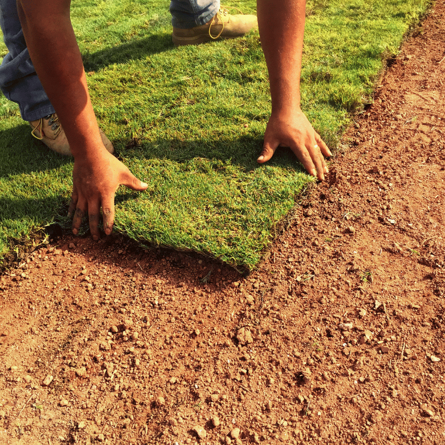 Hands lay fresh green sod on brown soil, creating a new lawn. Worker wears jeans and boots, focusing on precise placement.