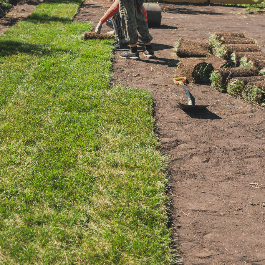Workers lay fresh sod on bare soil, transforming the yard. Rolled grass and a shovel are visible, highlighting the process.