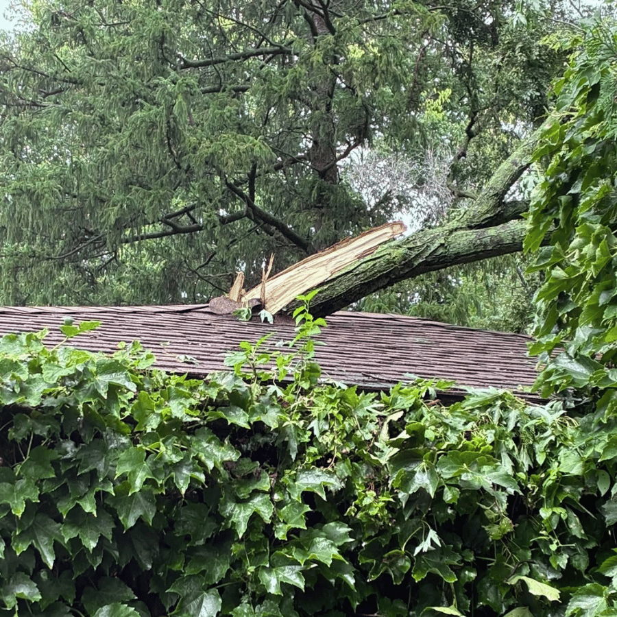A broken tree branch rests on a roof, surrounded by lush green foliage, indicating storm damage in a wooded area.