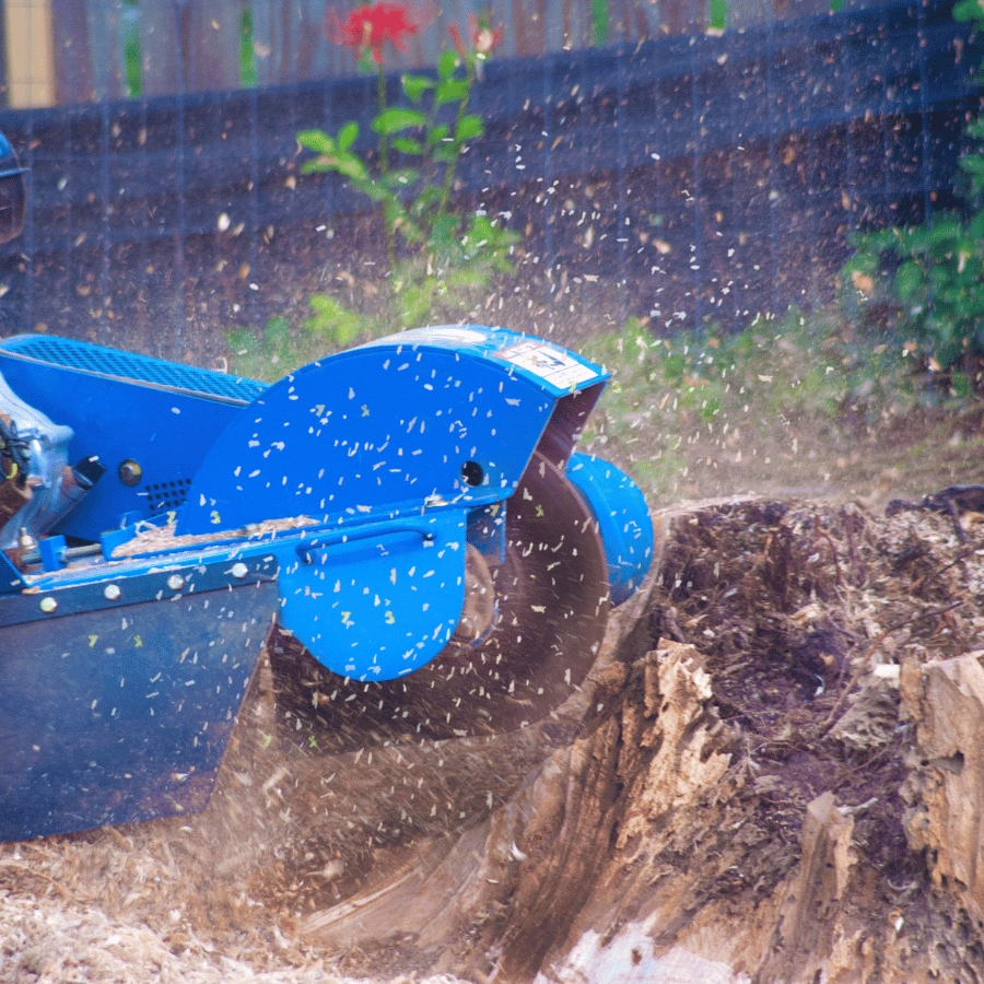 Blue stump grinder in action, chipping wood with flying debris, surrounded by greenery and a red flower in the background.