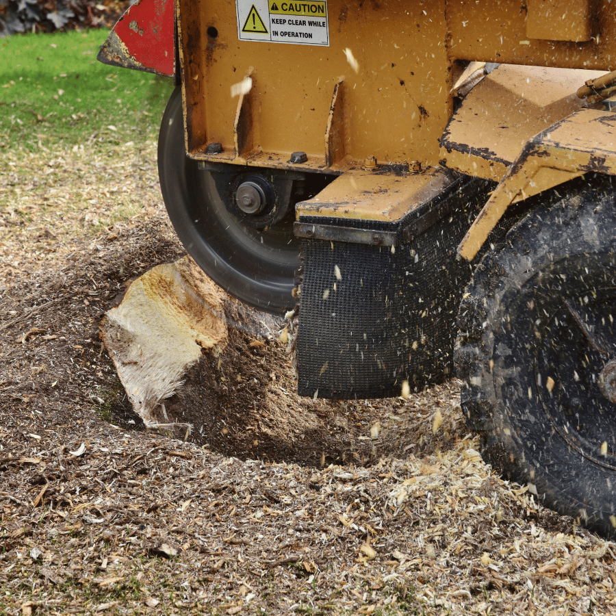 A stump grinder machine chips away at a tree stump, surrounded by wood shavings on grass. Safety caution sign is visible.