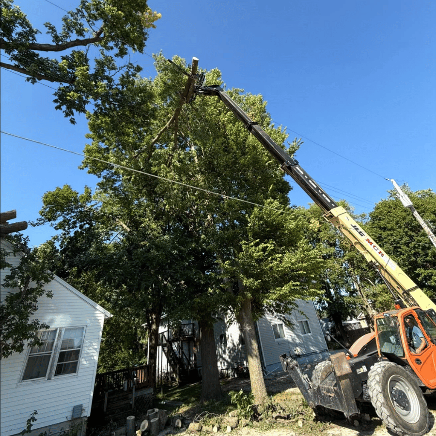 A crane lifts tree branches near a house under a clear blue sky, with power lines visible, highlighting tree maintenance work.