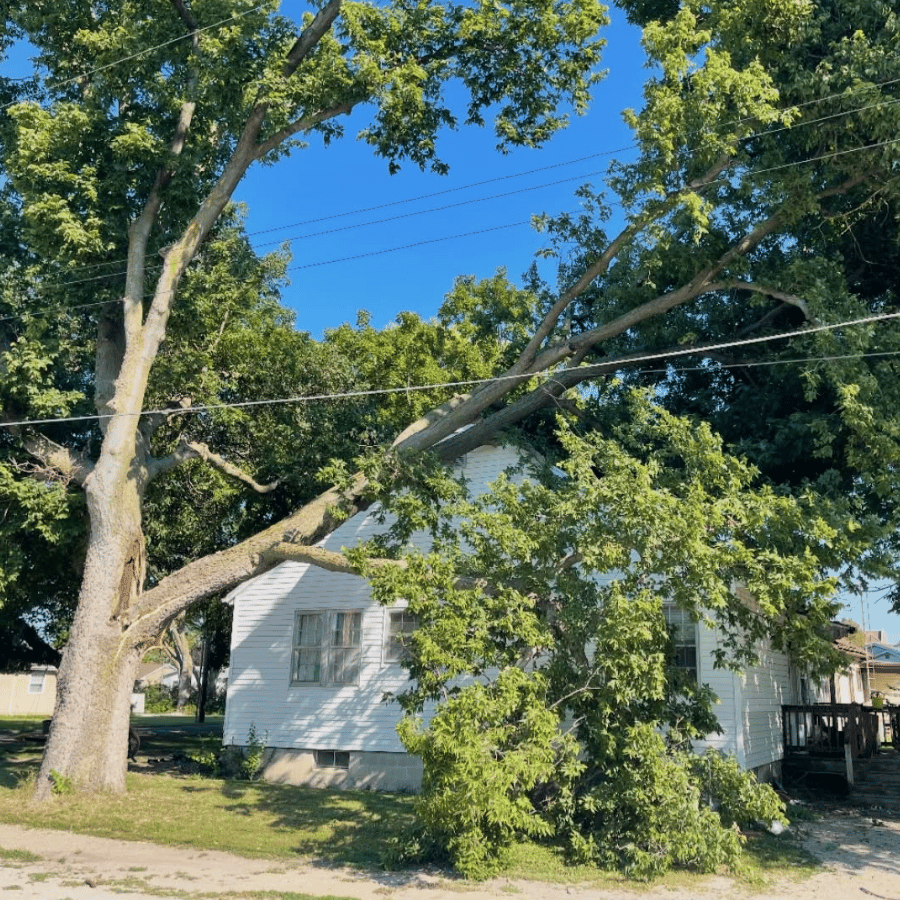 A large tree branch has fallen onto a white house, causing damage. The sky is clear and blue, highlighting the scene.