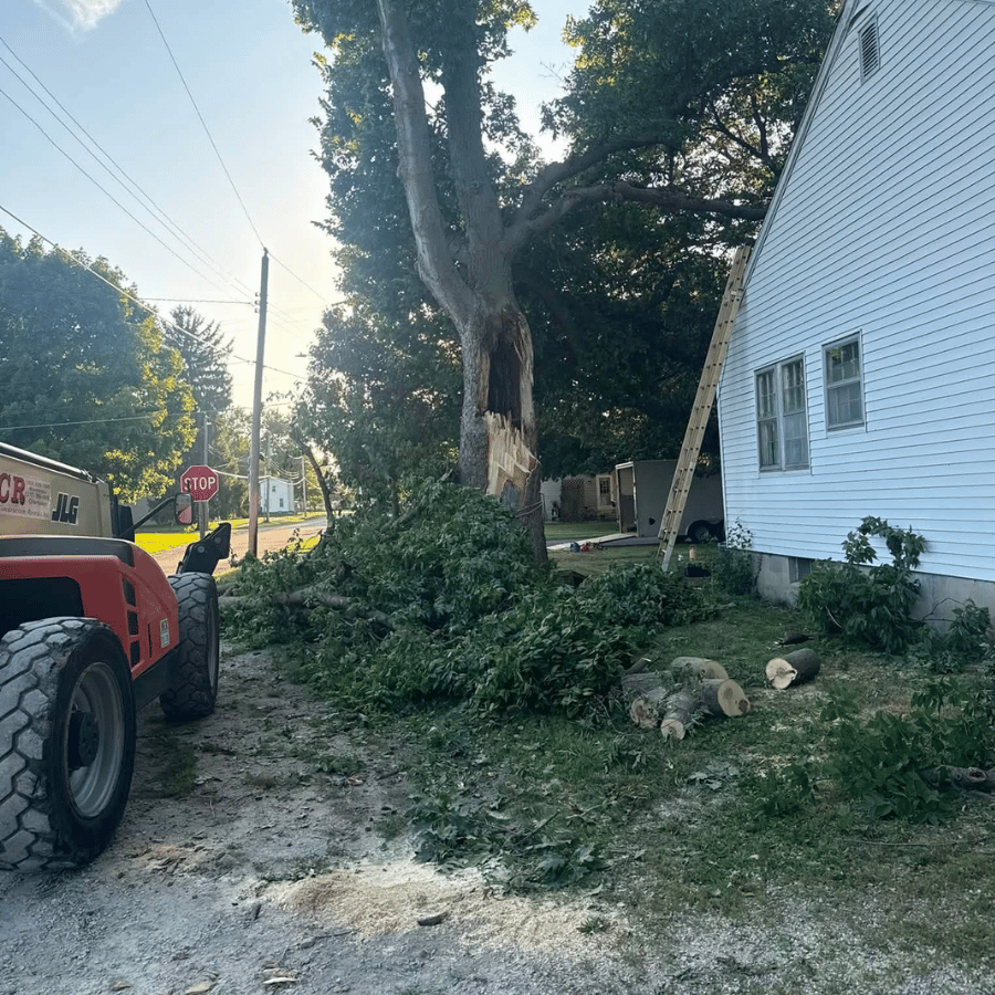 Tree removal scene with fallen branches near a white house, ladder, and machinery on a sunny day at a stop sign intersection.