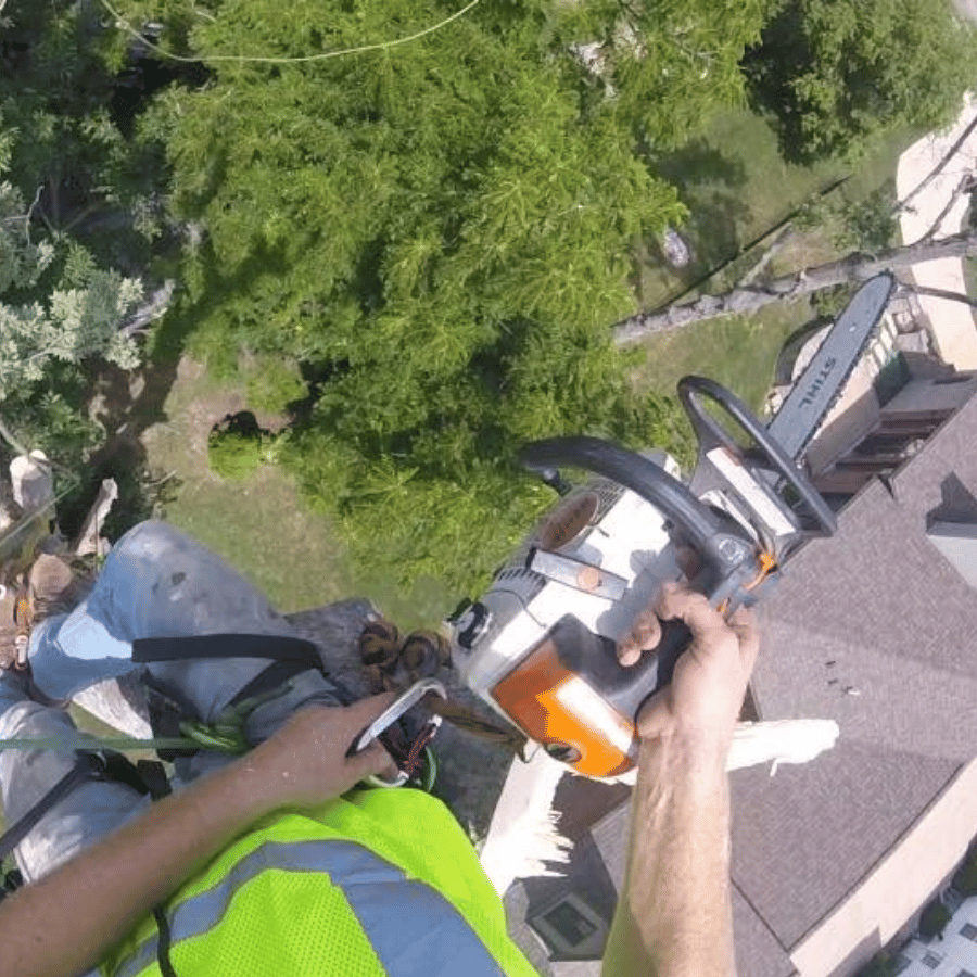 Worker in safety gear uses a chainsaw to cut tree branches from a high vantage point, overlooking a green yard and rooftops.