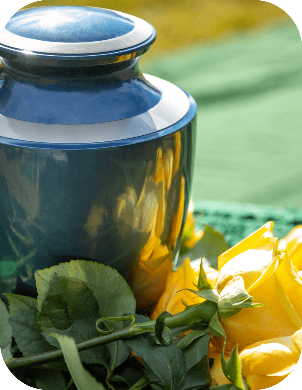 Blue vase beside yellow roses on green fabric